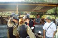 /album/jogo-feminimo/dsc03115-jpg/